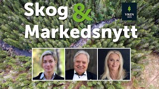 Skog amp Markedsnytt september 2024 [upl. by Nored]