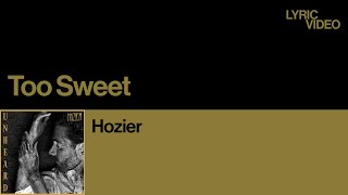 현 시점 빌보드를 사로잡은 진한 위스키 같은 노래  호지어Hozier  Too Sweet 가사한글해석 [upl. by Wills337]