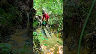 Finding Amazing Gold Gold Prospecting with A High Banker [upl. by Jarus]