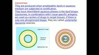 Behaviour of amphipathic lipids in water [upl. by Ardine]