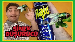 Raid sinek savar sivri sineklere ölüm inceledik  Raid fly killer insecticide [upl. by Lindly]