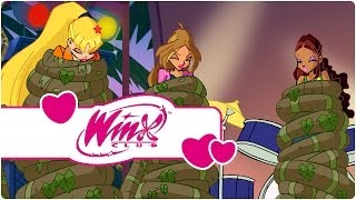 Winx Club  Temporada 4 Episódio 18  Fúria da Natureza clip1 [upl. by Rowell]