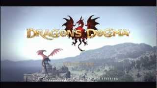 Dragons Dogma Title Screen [upl. by Aciraj]