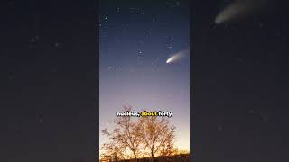 HaleBopp The Great Comets Journey crixus space comet [upl. by Adias]