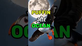 puffin bird through the ocean shorts [upl. by Elleira]