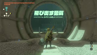 【祠かんたん解説】モギサリの祠｜ゼルダの伝説ティアーズオブザキングダム [upl. by Amuh]