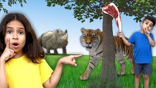 Educational Animal Video for Kids Herbivore carnivore and omnivore animals by Atrin and Soren [upl. by Alessandro981]