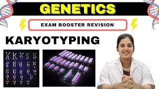 GENETICS  Karyotyping  Basics Procedure amp Application  MedSeed MBBS [upl. by Lodovico206]