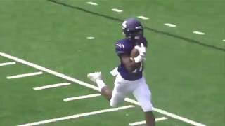 Sewanee Football  2017 Highlights [upl. by Ellehcyar676]