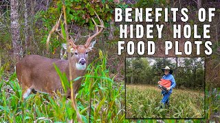 Hidey Hole Food Plot Seminar by Dr Grant Woods [upl. by Akirdnahs]