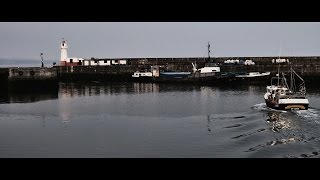 Modern Seine Fishing for Cornish Sardines with Danny Downing [upl. by Jesselyn]