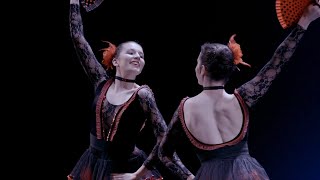 Spanish Dance Swan Lake  1228  age 14  15  Terpsichore 2017 [upl. by Maze]