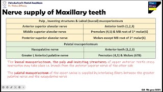 09 Summary Of Innervation Of Maxillary Teeth [upl. by Gnad]