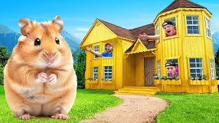 I Built A 100000 Golden Hamster House [upl. by Adnohsak185]