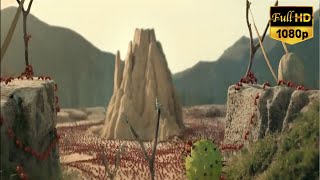 Minuscule Valley of the Lost Ants  2013   Epic War Red Ants Vs Black Ants Part 1 [upl. by Irah]