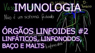 Aula Imunologia  Órgãos Linfoides  Vasos Linfáticos Linfonodos Baço e MALTs  Imunologia 5 [upl. by Teerprah]