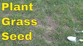 How To Plant Grass SeedFULL Tutorial [upl. by Epotimet]