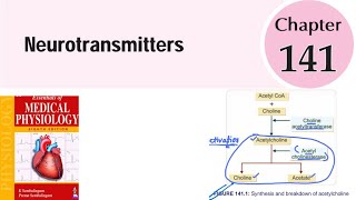 Neurotransmitters1 ch141  Neurophysiology  sembulingam physiology [upl. by Laverna261]