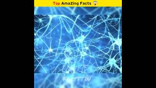 How many neutrons are there in the human brain 😱  facts shorts [upl. by Balbinder]