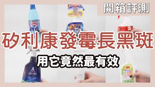 矽利康發霉長黑斑用「這個清潔劑」除霉最有效，膠條不用重打也可以跟新的一樣！｜開箱評測｜蛙家 [upl. by Ettesil]