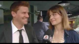 Emily Deschanel David Boreanaz Just The Way You Are [upl. by Ecnerol]