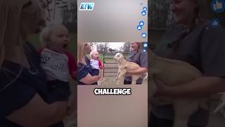 Adorable Showdown Little Girl vs Small Sheep—Who Won [upl. by Yud]