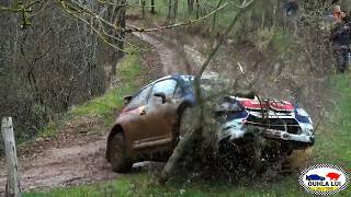 XXL Best of Rallyes Crashs amp Mistakes amp fun amp passages de sangliers 2018 [upl. by Nylicaj]