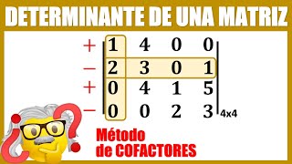 Determinante de una matriz 4x4 por Cofactores [upl. by Demaggio181]