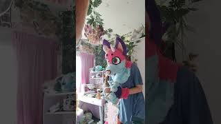 duet fursuit furr furries antizoo 2ksubscribers fursuit duet [upl. by Otreblide692]