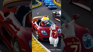 عملةهامستر تعلمصح cat automobile funny catlover animals cute cutecat coin [upl. by Eannej]