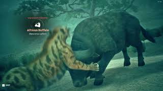 Machairodus Vs African Buffalo In Ancestors [upl. by Kcirddahc221]