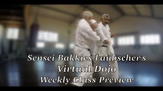 Bakkies Laubscher’s Virtual Dojo 2024 Week 26 Class [upl. by Ateerys]