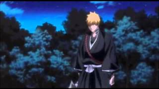 Bleach AMV  Its not Over ♫♪ [upl. by Uhayile]