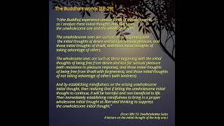 ShortsThe Buddha Words EP29 [upl. by Ereynihc654]