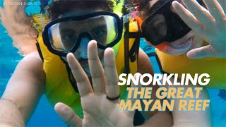 Snorkeling the Second Largest Reef in the World  Carnival Valor  Day 5 [upl. by Trebornhoj]