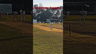 Tpl Cricketer Gopalganj teanding cricket teniss cricketlover ipl reels [upl. by Corri356]