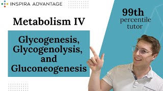 MCAT Bites Metabolism IV Glycogenesis Glycogenolysis and Gluconeogenesis  Inspira Advantage [upl. by Araek105]