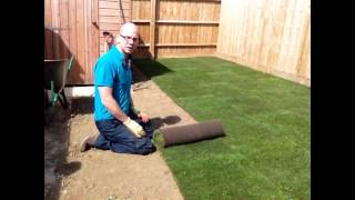 How to lay turf  a new lawn [upl. by Mame]