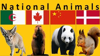 National Animal of Each Country [upl. by Moor]