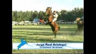 Jorge Raúl Aristegui el 10 veces campeón de Jesús Maria vs El quotnocheroquot de Ahmed [upl. by Artenra]