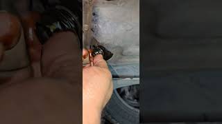 🛢 oil daak Nutt hyundai accent machine engine shorts youtubeshorts short [upl. by Lorine190]