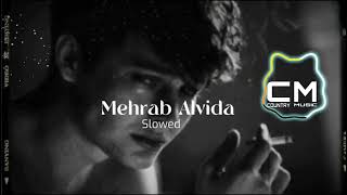 Mehrab Alveda Slowed  Reverb  Down No Copyright Music [upl. by Ashil]