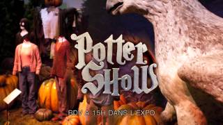 Rencontre Potterhead à lexposition Harry Potter avec le PotterShow [upl. by Brion561]