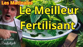 Comment Je Prépare du Purin dOrtie  Fertilisant Naturel et Répulsif Efficace [upl. by Erreid]