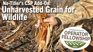 NoTillers CSP AddOn Unharvested Grain for Wildlife [upl. by Ahsimit]