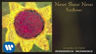 Never Shout Never  quotNew Soundquot [upl. by Roselba]