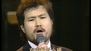 楓林小橋  演唱 張鎬哲 伴奏 林家慶 指揮 中視大樂隊 [upl. by Constance]