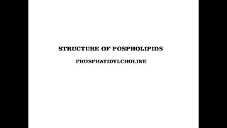 structure of phosphatidylcholine  phospholipids [upl. by Navillus319]