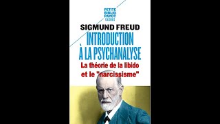 Introduction à la psychanalyse  La théorie de la libido et le quotnarcissismequot  S Freud [upl. by Fredra]