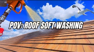 HOW TO soft wash a roof start to finish [upl. by Aihsyak]